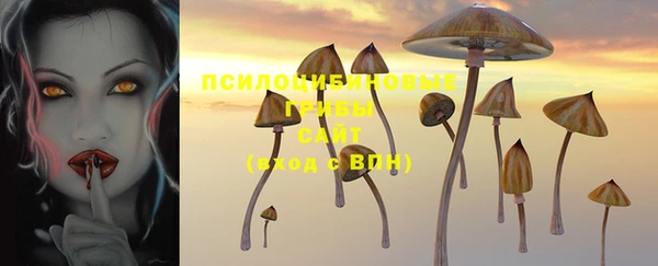 амфетамин Медвежьегорск